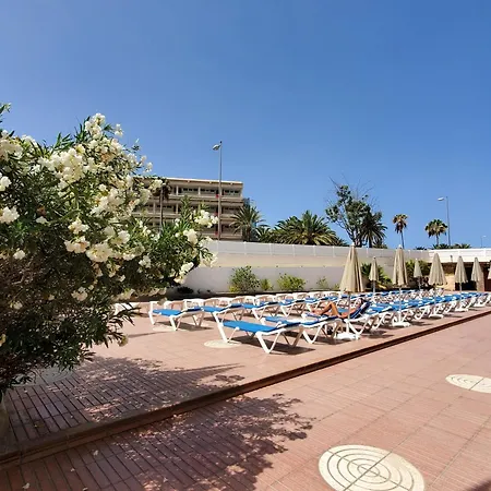 Camelias פלאייה דל אינגלז