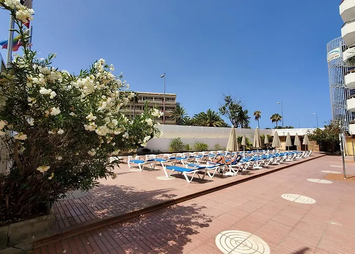 Camelias Playa del Ingles (Gran Canaria)