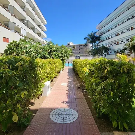 Aparthotel Camelias