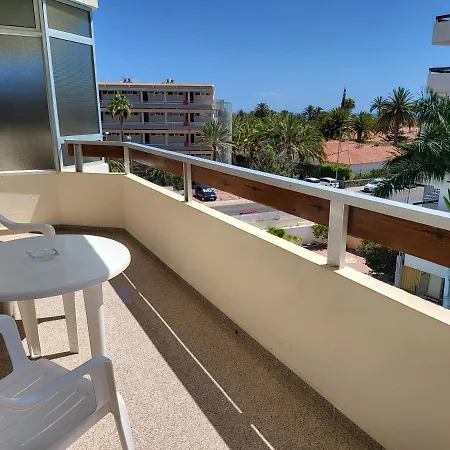 Camelias Playa del Inglés