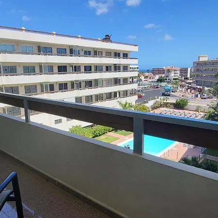 Camelias Playa del Inglés