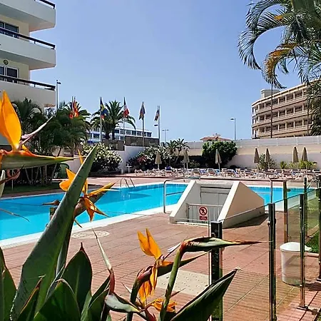 Camelias Playa del Inglés