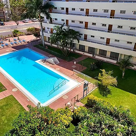Camelias Playa del Inglés