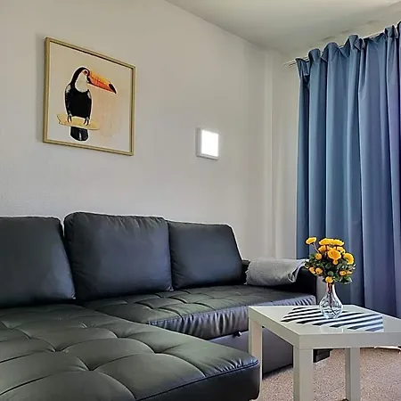 Camelias Playa del Inglés