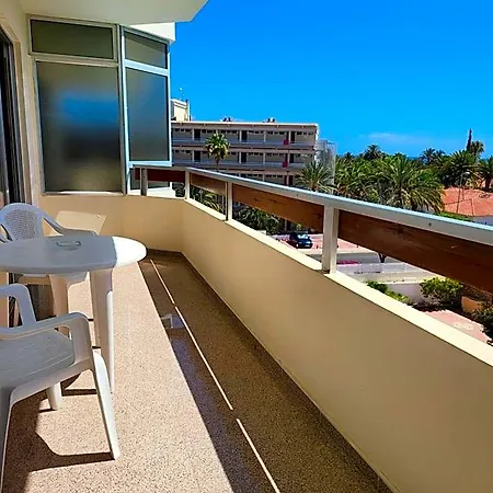 Camelias Playa del Inglés