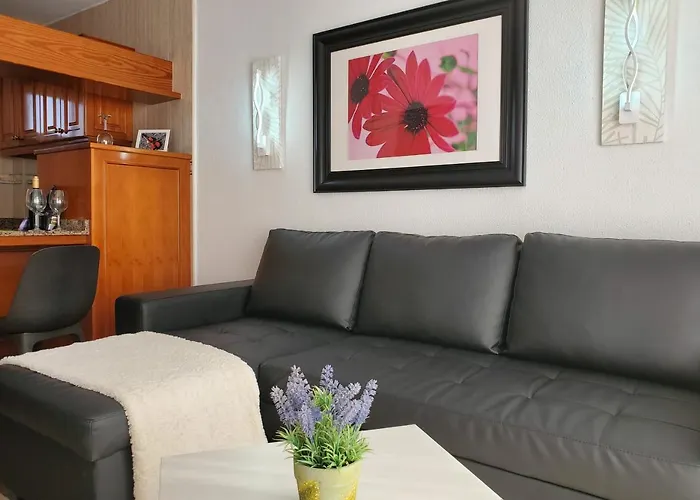 Camelias Apartahotel 4*