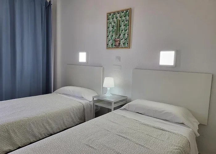 Camelias Playa del Inglés