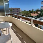 Camelias Playa del Inglés