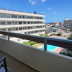 Camelias Playa del Inglés