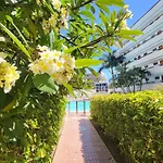 Camelias