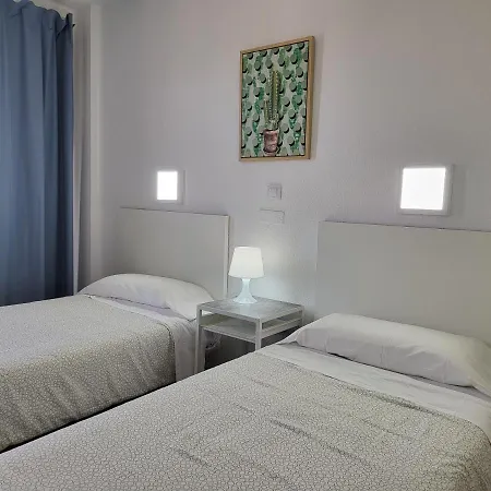 Camelias Playa del Inglés