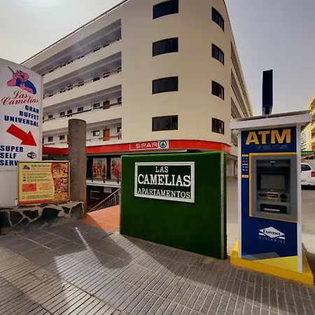 Camelias 普拉亚戴尔雷安格莱斯